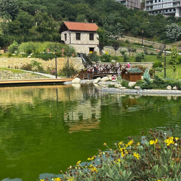 WhatsApp Image 2026-08-23 at 15.26.40 (2)